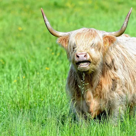 Chalet-apartmenthaus Mit 4 Schlafzimmern! *