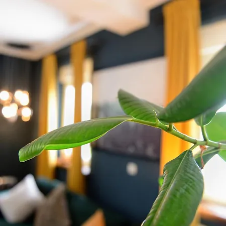 Chalet-apartmenthaus Mit 4 Schlafzimmern! *